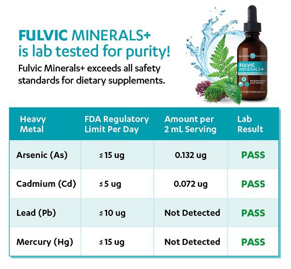 Fulvic Minerals s2