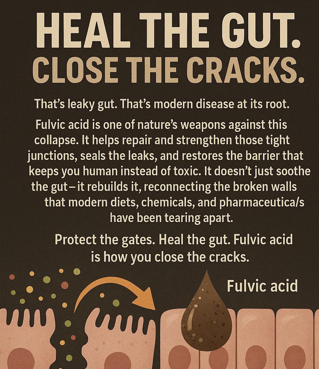 Fulvic stops leaky gut