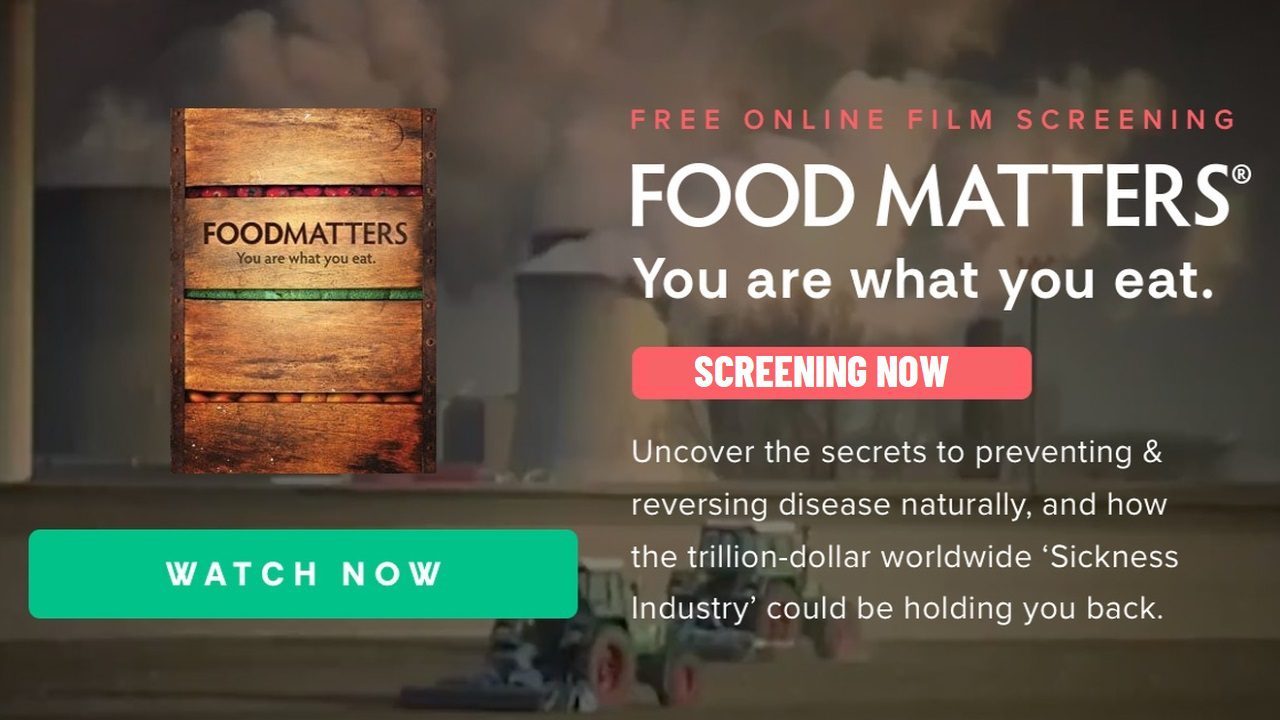 Food Matters 4 Phase 2