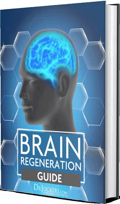 Healing Brain fg1