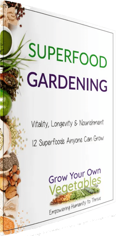 Superfood Garden Summit fg1